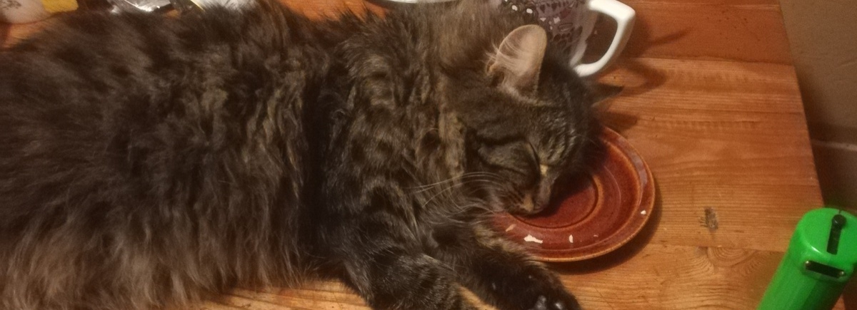 фотография обложки