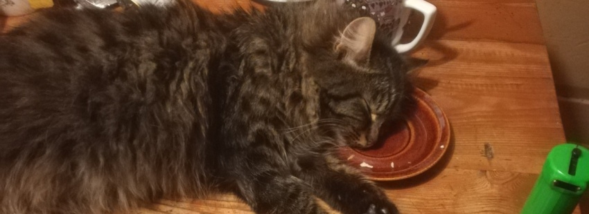 Изображение / фотография