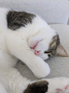 photo/21564a97-2ec8-4038-ad9e-27e8bfc06fbc-3