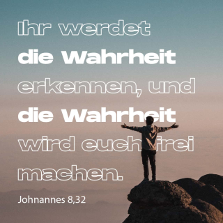 photo/288f8d00-81b6-437f-9a2d-aab5faee53d9-3
