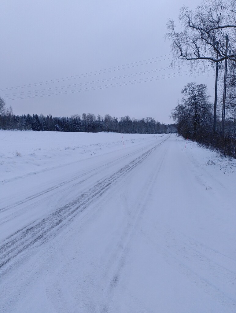 Photo taken an overcast winters day. A snowy road goes straight towards the horizon and disappears in the distance. To the right, a line of tree and bushes. To the left, snow-covered fields with trees in the background. The trees are without leaves and the sky is white or light gray.