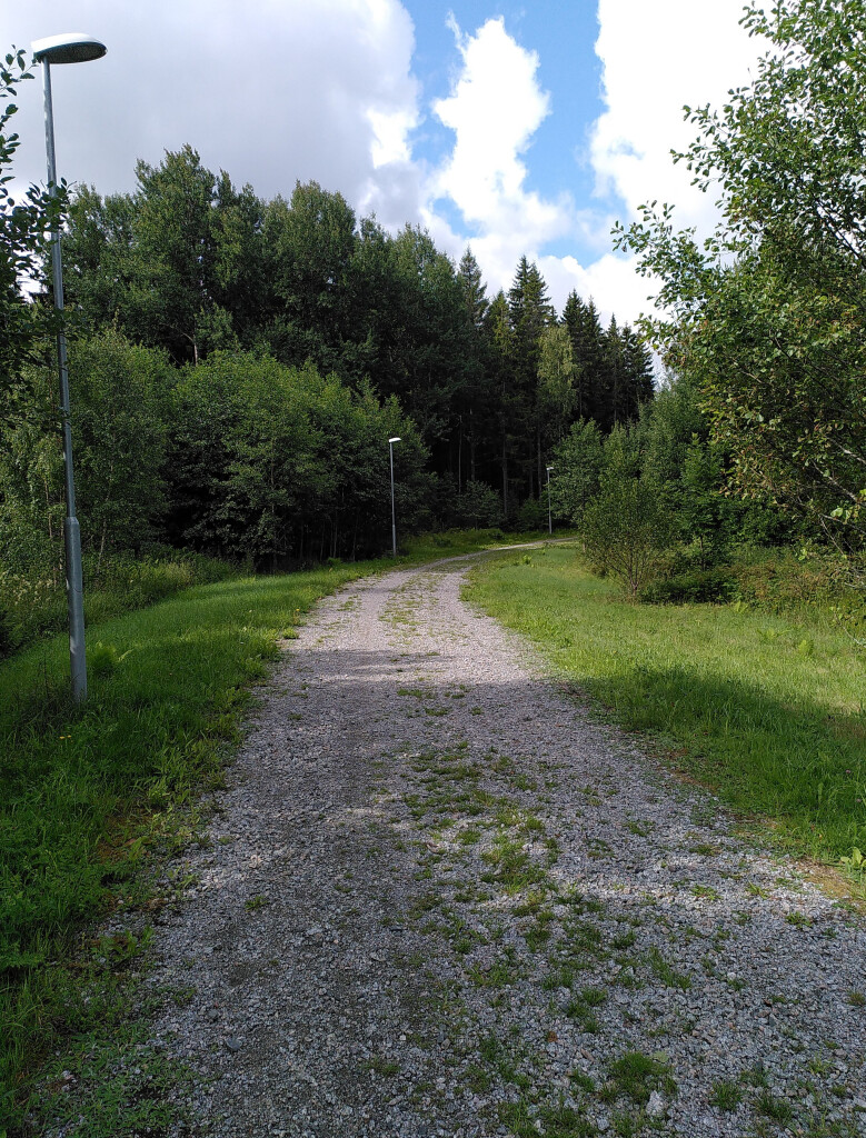 Photo of a wide gravel path sofly bending to the right and disappearing among some trees and bushes. There is grass on both sides and a row of modern lamp posts to the left. The sun is shining and there are thick clouds in the sky.