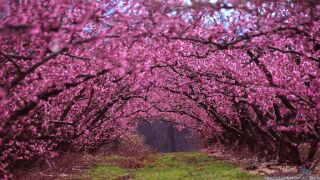 photo/46d350a2-bebf-46ba-89aa-2b3bc27d2642-3