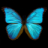 %D0%9A%D0%BE%D1%80%D0%BE%D0%BB%D1%91%D0%BA+%D0%B8+%D0%A1%D0%B8%D0%BF%D1%83%D1%85%D0%B0