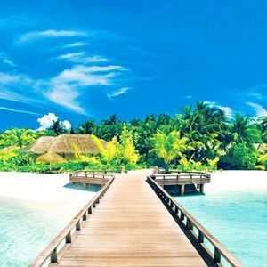 🏝️