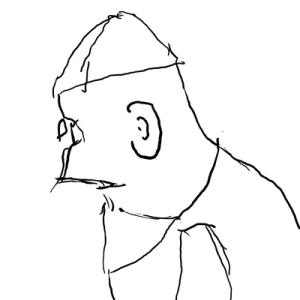 Scott Hühnerkrisp