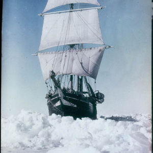 Dominique dit le voileux