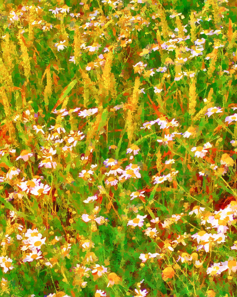 Photo edited to look like a watercolour painting. A sunny wheat field with green grass and white flowers. Colours are enhanced to give a warm and idyllic impression.