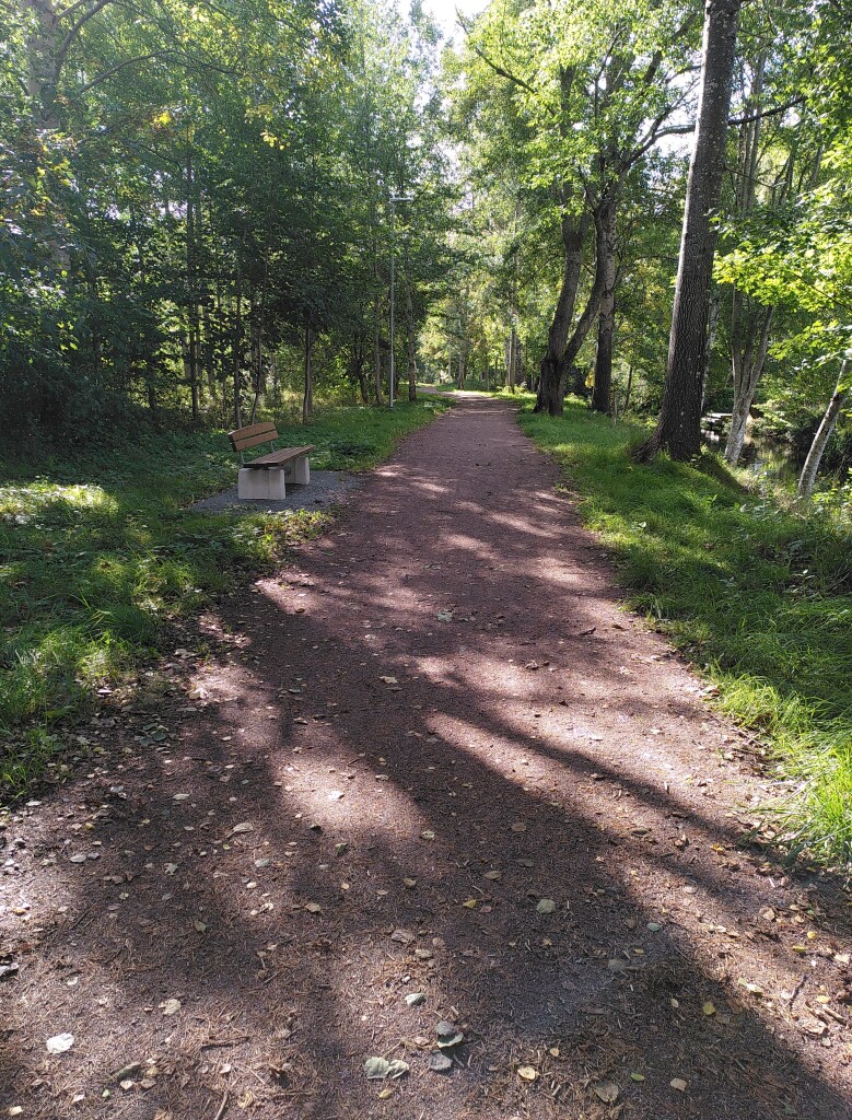 Photo of a park during a sunny morning. A gravel path with green grass on both sides goes straight ahead between various tall trees. Aspen, birches, alder and others. The sun is shining through the treetops, creating shadows on the ground. To the left of the path there is a wooden bench.
