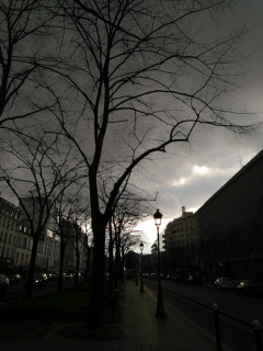 IMG_20230210_161152-R_900.jpg