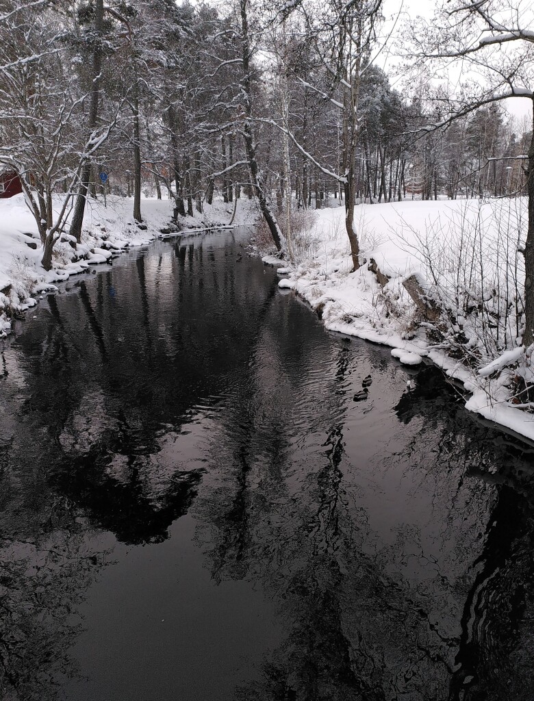 Photo of a small river running between snowy fields. On both sides there are trees that have lost their leaves. The water is dark, almost black, but missor images of the trees are visible. A couple of ducks are swimming in the water.