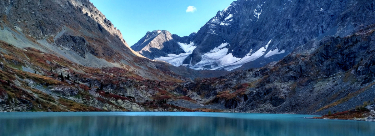 фотография обложки